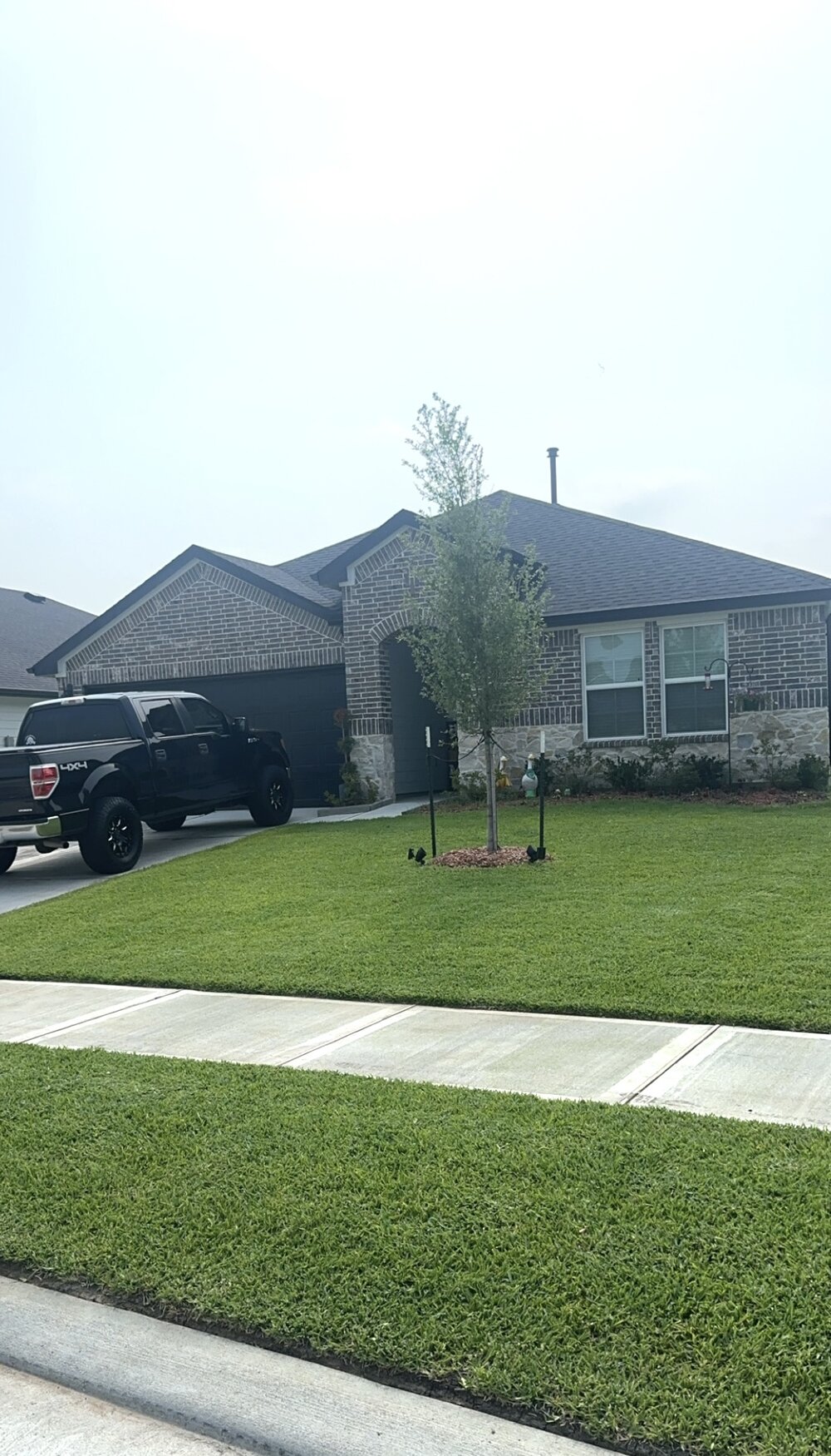 A thick, green St. Augustine lawn maintained using the Turf Method program