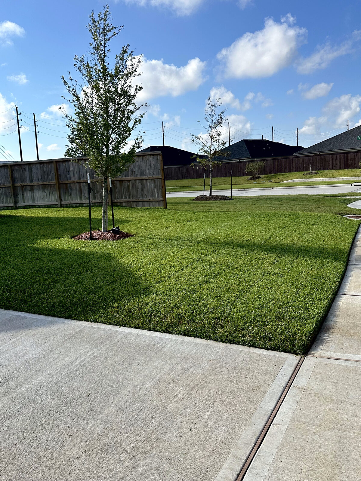 Green lawn beside a sidewalk and wooden fence